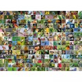 Bluebird Puzzle Collage - World's most Beautiful Birds