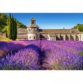 Castorland Provence, Frankreich