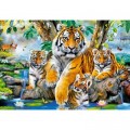Castorland Tigers by the Stream