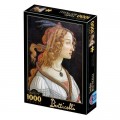 DToys Botticelli Sandro : Idealised Portrait of a Lady