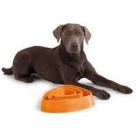 Edupet Hundespielzeug -Dog Bowl, 28,5 cm orange