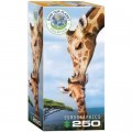 Eurographics Save the Planet - Giraffe