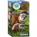 Eurographics Save the Planet - Otters