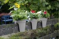 Ein Angebot für Flowerclip Blumentöpfe, 3er Set, grau grau KHW aus Haus und Garten > Gartenausstattung > Pflanzgefäße - jetzt kaufen. Lieferzeit 3-5 Tage.