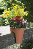 Ein Angebot für Flowerclip Blumentöpfe, 3er Set, terra terra KHW aus Haus und Garten > Gartenausstattung > Pflanzgefäße - jetzt kaufen. Lieferzeit 3-5 Tage.