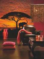 Ein Angebot für Fototapete African Sunset mehrfarbig Komar aus Haus und Garten > Wandgestaltung > Fototapeten > Vlies Fototapeten - jetzt kaufen. Lieferzeit 2 Tage.