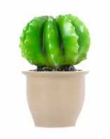 Ein Angebot für Heico Nachtlicht Kaktus, rund grün/beige EGMONT TOYS aus Babyausstattung > Nachtlichter - jetzt kaufen. Lieferzeit 15-28 Tage.