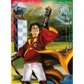Nathan Harry Potter - Quidditch