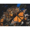 New York Puzzle Company XXL Teile - Monarch Butterflies