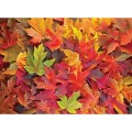 Nova Puzzle Autumn Leaves