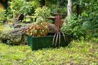 Ein Angebot für Pflanzkasten rechteckig, grün grün KHW aus Haus und Garten > Gartenausstattung > Pflanzgefäße - jetzt kaufen. Lieferzeit 3-5 Tage.