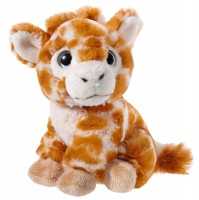 Ein Angebot für Plüschtier Mini-Mi Giraffe, 14 cm braun heunec aus Plüschfiguren > Plüschtier > Sonstige Plüschtiere - jetzt kaufen. Lieferzeit 1-2 Tage.