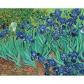 Pomegranate Van Gogh: Irises