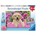Ravensburger 2 Puzzles - Se Freunde