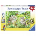 Ravensburger 2 Puzzles - Se Koalas und Pandas