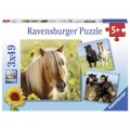 Ravensburger 3 Puzzles - Liebe Pferde