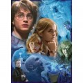 Ravensburger Harry Potter in Hogwarts (TM)