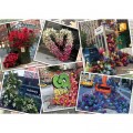 Ravensburger New York Flower Spectacle