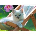 Ravensburger XXL Teile - White Kitten
