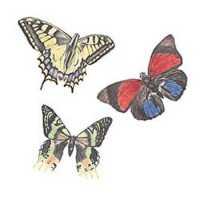 Wandaufkleber Wallies Motiv-Sticker (Cutouts) Butterflies