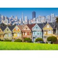 Bluebird Puzzle San Francisco, Painted Ladies