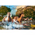 Castorland Horse Wonderland