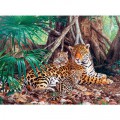 Castorland Jaguar im Wald