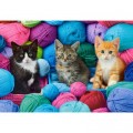 Castorland Kittens in a Yarn Store