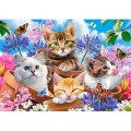 Castorland Kittens with Flowers