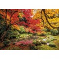 Clementoni Autumn Park