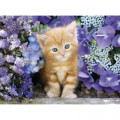 Clementoni Katze Im Blumenmeer