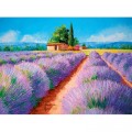 Clementoni Lavendel Feld