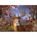 Cobble Hill / Outset Media XXL Teile - Deer and Pheasant