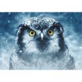 DToys Owl