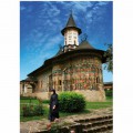 DToys Rumnien: Sucevita Kloster