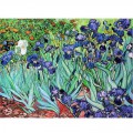 DToys Van Gogh: Iris