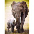Eurographics Elefantenmutter mit Jungtier