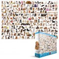 Eurographics Hunde