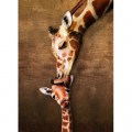 Eurographics Mutter- und Babygiraffe