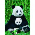 Eurographics Panda-Familie