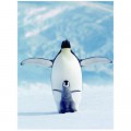 Eurographics Pinguin und sein Kleines