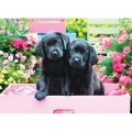 Eurographics XXL Teile - Black Labs in Pink Box