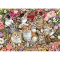 Falcon Floral Cats