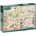 Falcon The Country Diary 4 Seasons