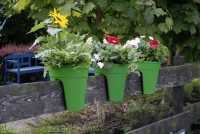 Ein Angebot für Flowerclip Blumentöpfe, 3er Set, grün grün KHW aus Haus und Garten > Gartenausstattung > Pflanzgefäße - jetzt kaufen. Lieferzeit 3-5 Tage.