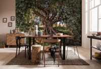 Fototapete Olive Tree