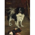 Grafika Edouard Manet: Tama: The Japanese Dog, 1875