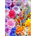 Grafika Kids Magnetische Teile - Blumen-Explosion