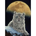 Grafika Kids Schim Schimmel - Moon Leopard