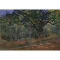 Grafika Kids XXL Teile - Claude Monet: Fontainebleau, 1865